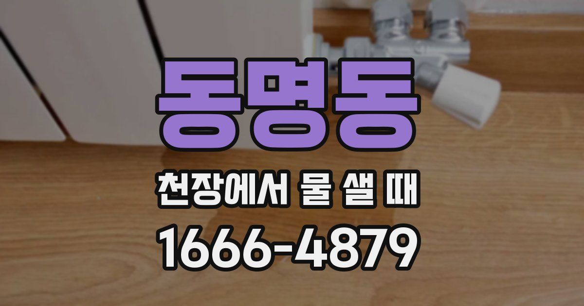 동명동 천장에서 물 샐 때