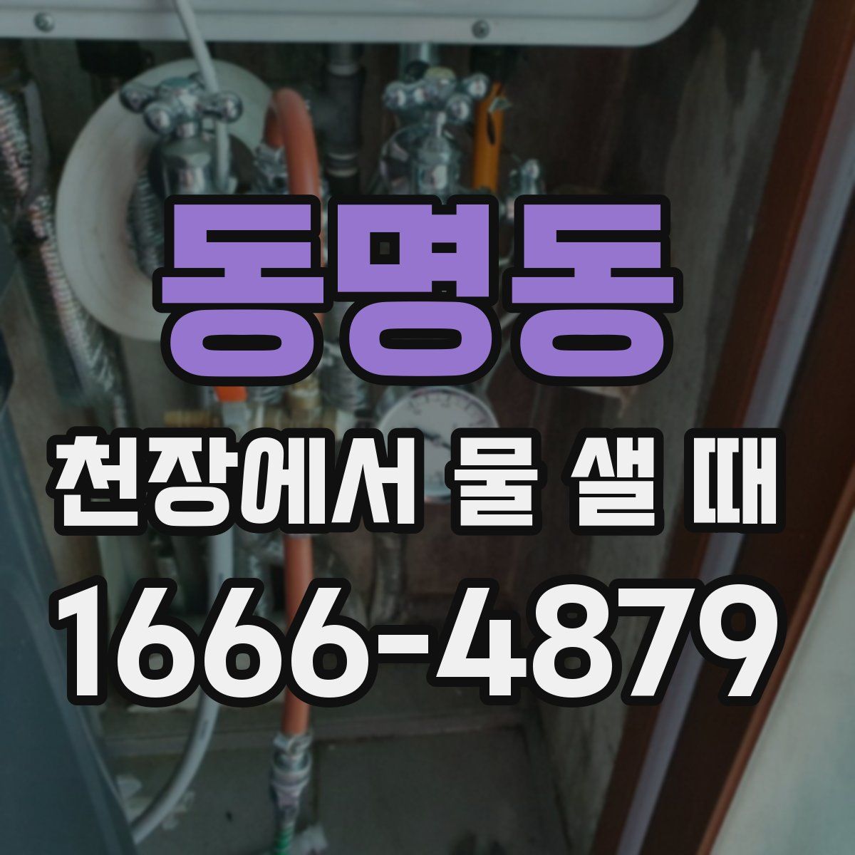 동명동 천장에서 물 샐 때