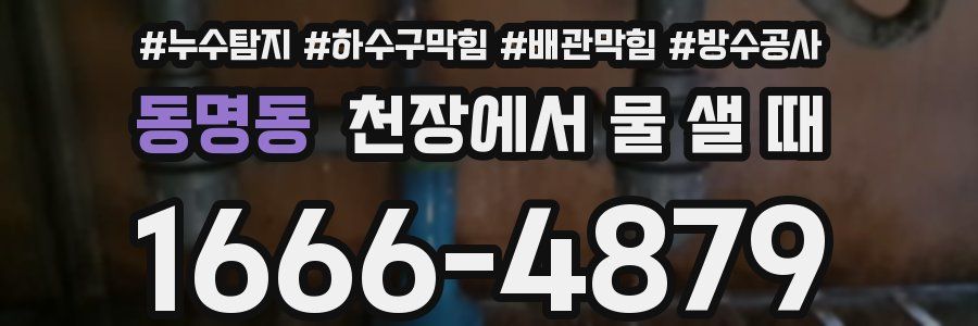 동명동 천장에서 물 샐 때