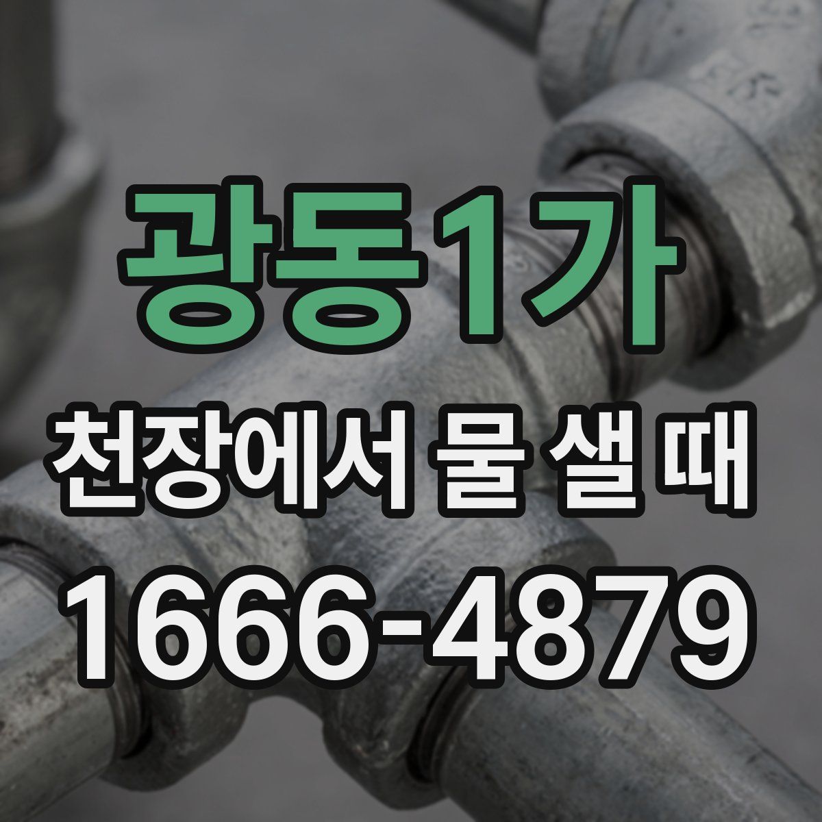 광동1가 천장에서 물 샐 때