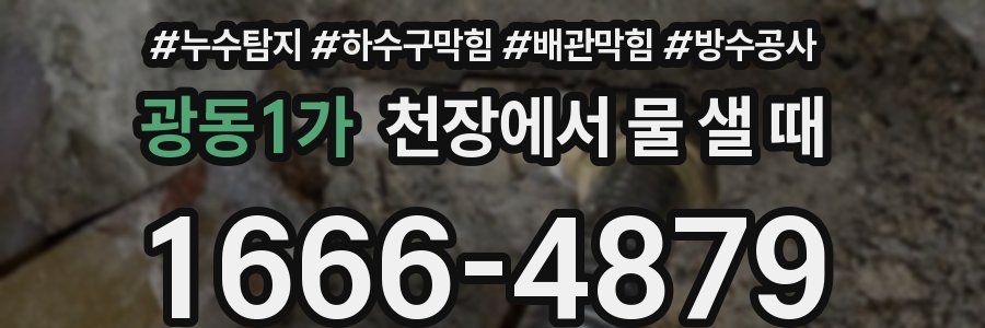 광동1가 천장에서 물 샐 때