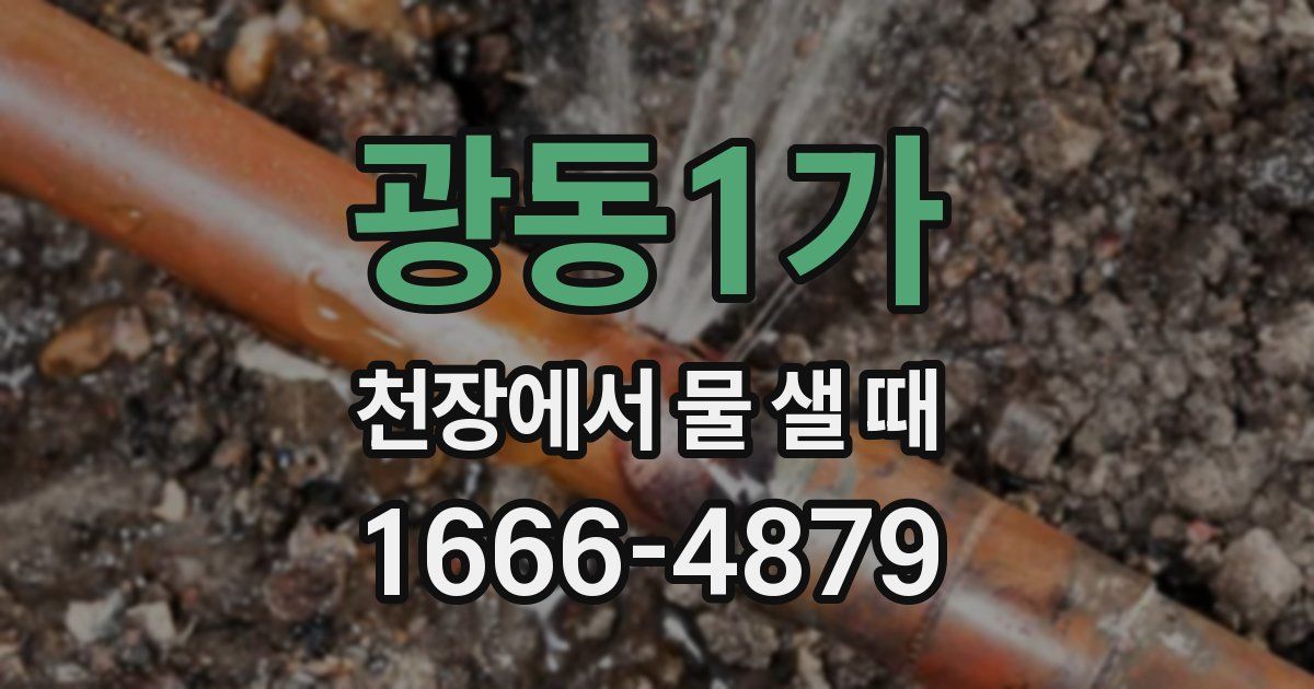 광동1가 천장에서 물 샐 때