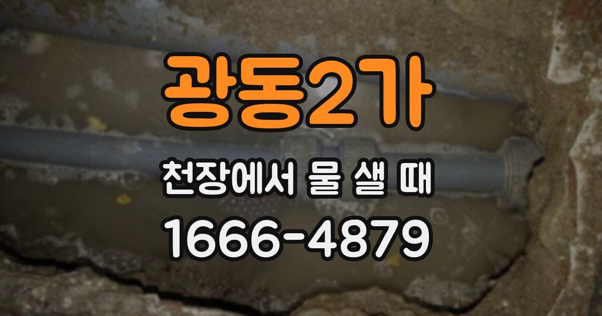 광동2가 천장에서 물 샐 때