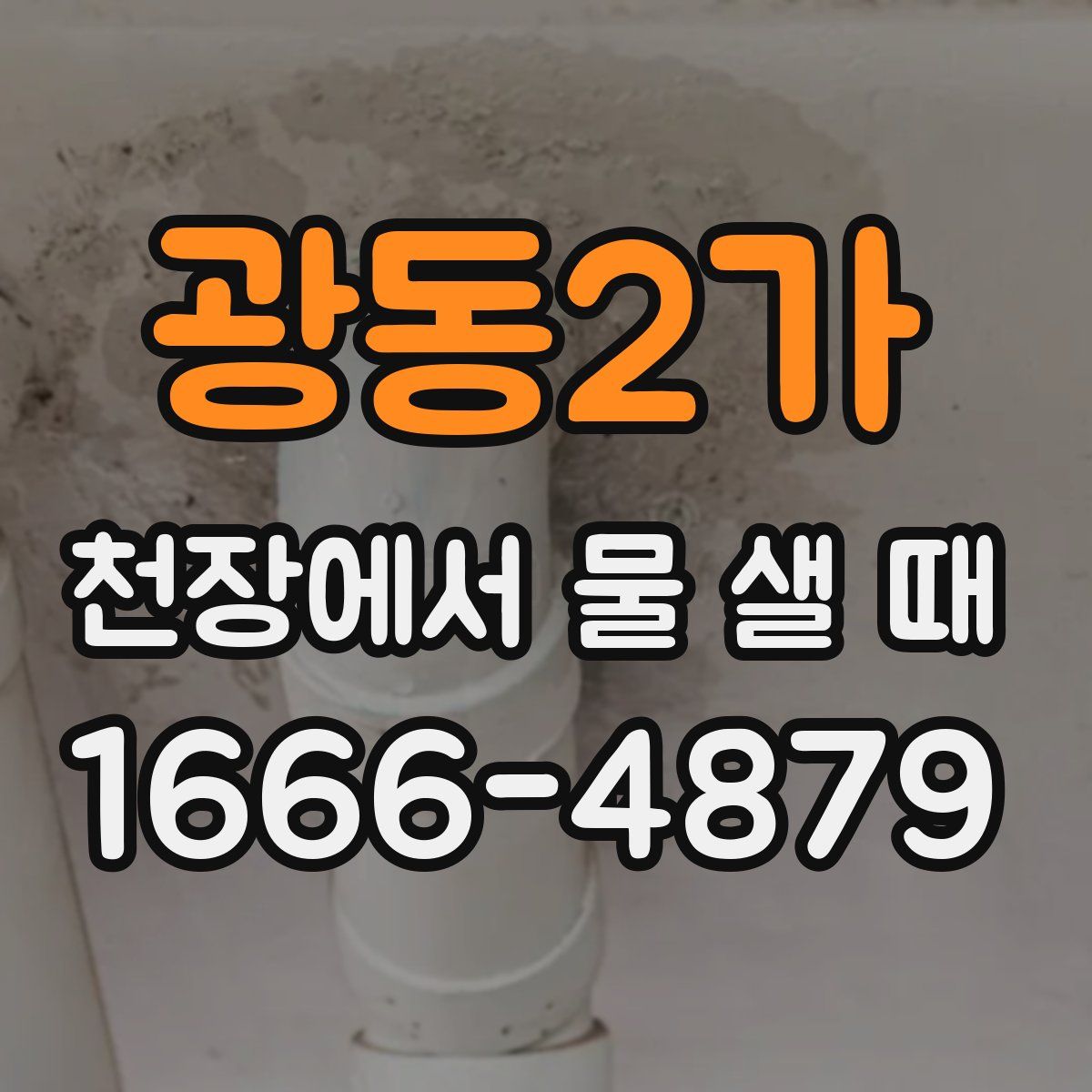 광동2가 천장에서 물 샐 때