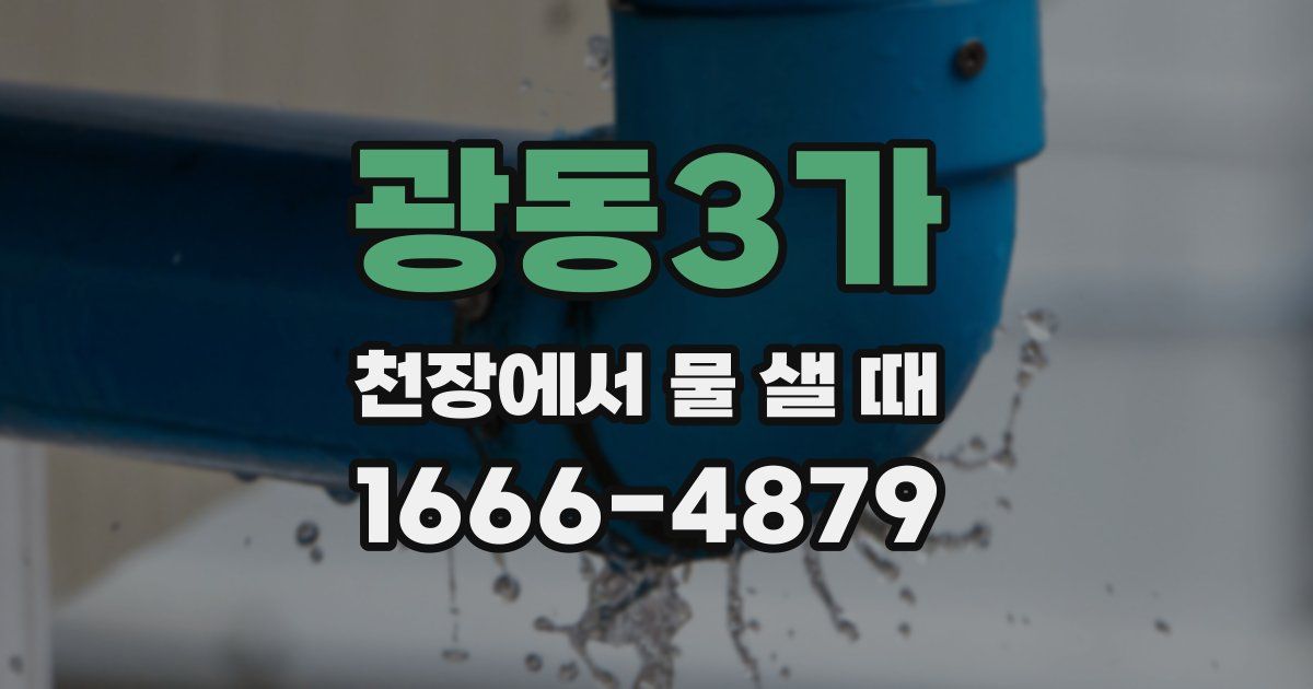 광동3가 천장에서 물 샐 때