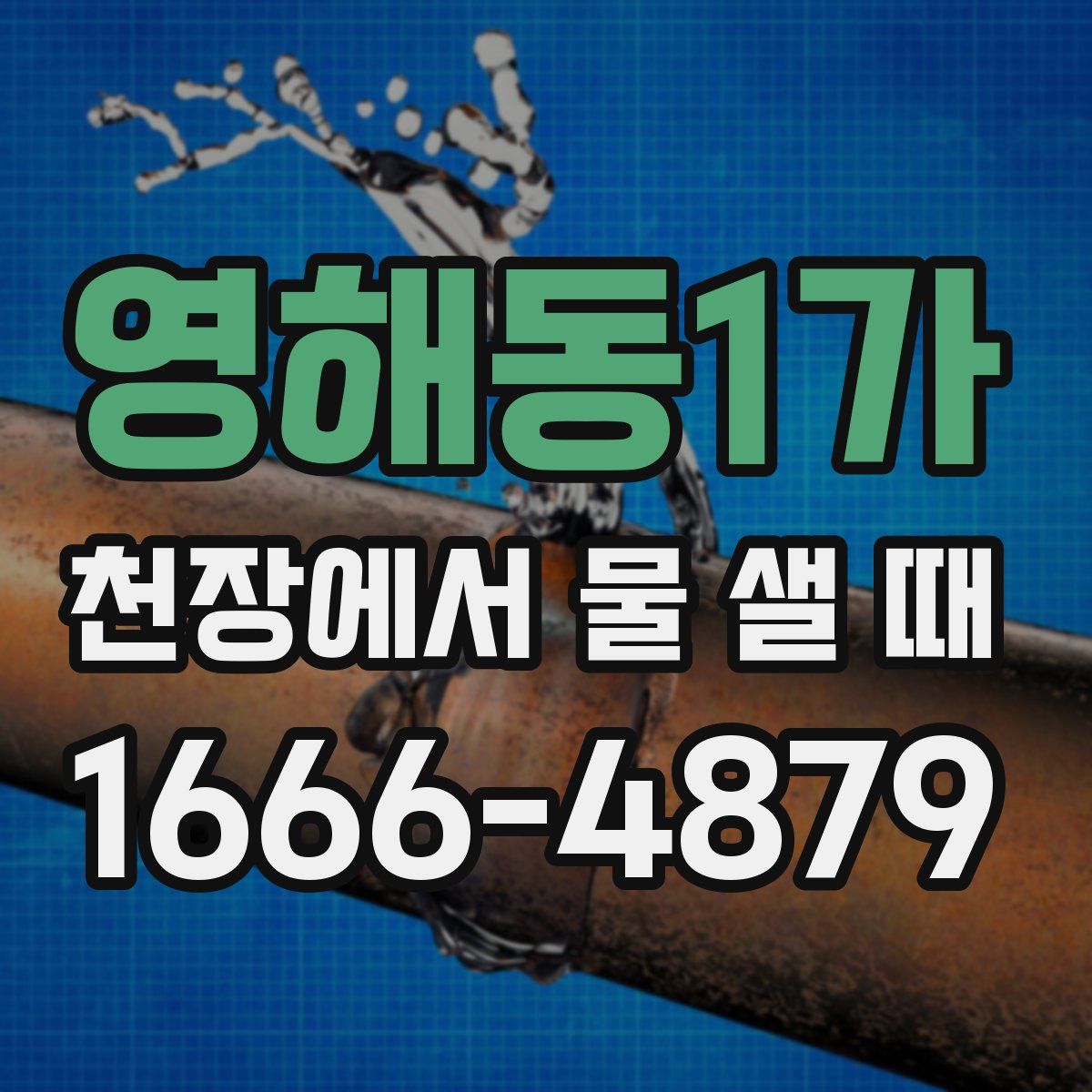 영해동1가 천장에서 물 샐 때