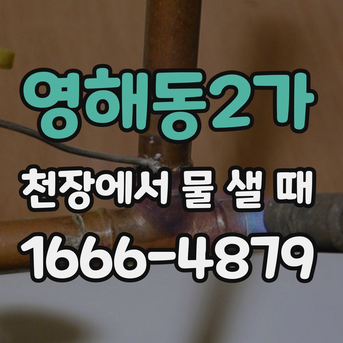 영해동2가 천장에서 물 샐 때