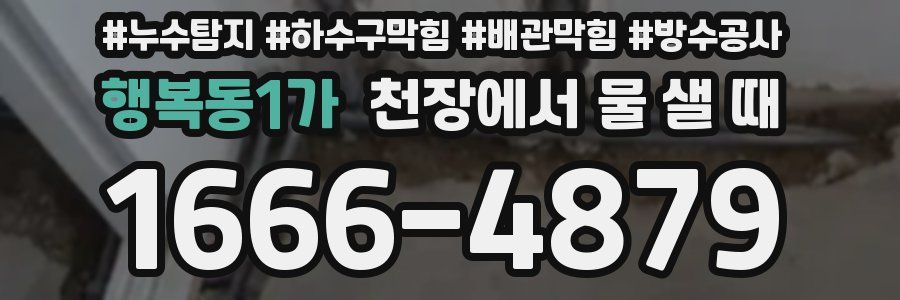 행복동1가 천장에서 물 샐 때