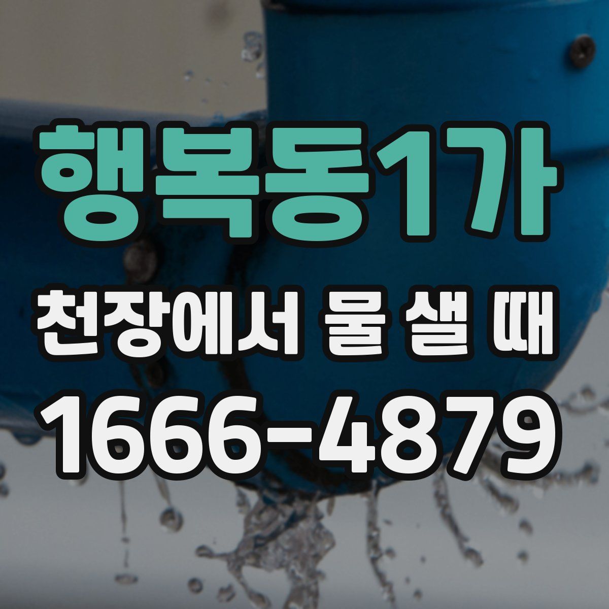 행복동1가 천장에서 물 샐 때