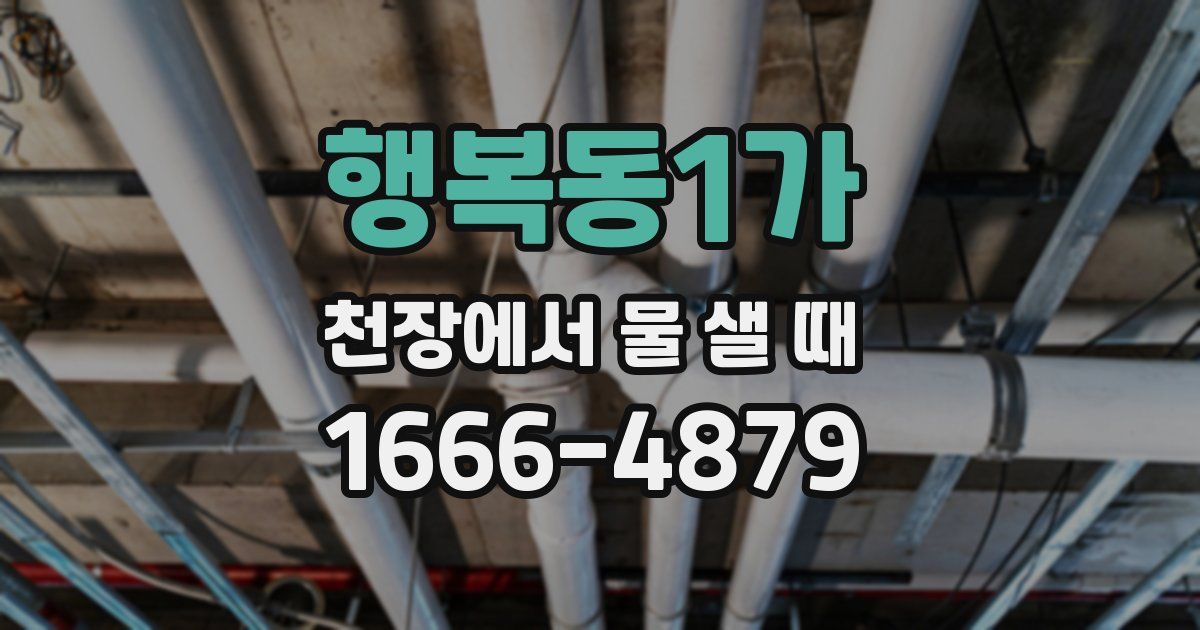 행복동1가 천장에서 물 샐 때