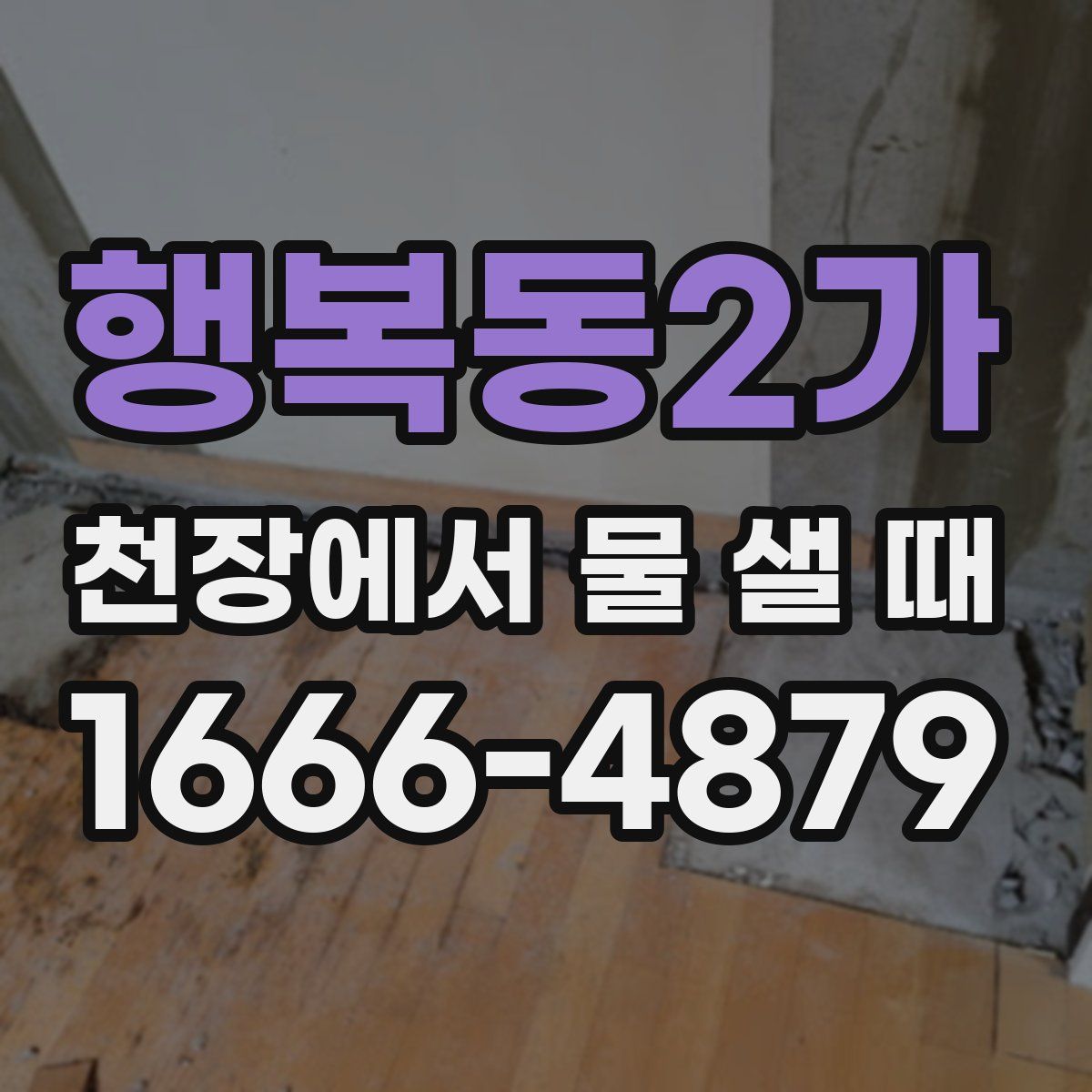 행복동2가 천장에서 물 샐 때
