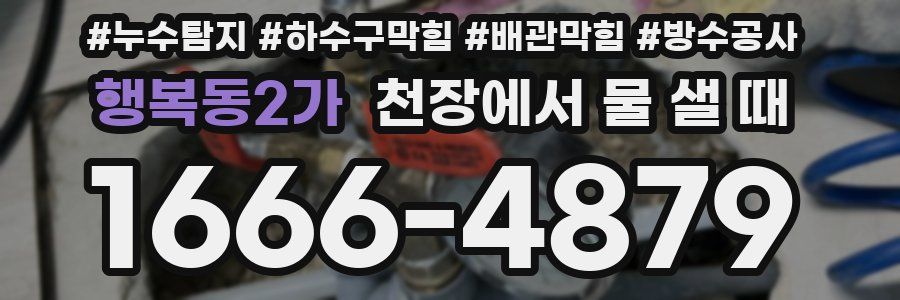 행복동2가 천장에서 물 샐 때
