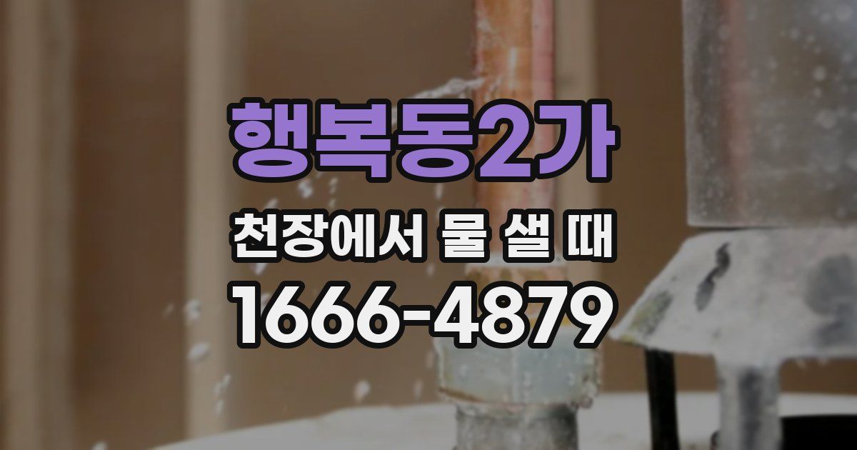 행복동2가 천장에서 물 샐 때