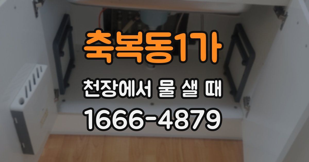 축복동1가 천장에서 물 샐 때