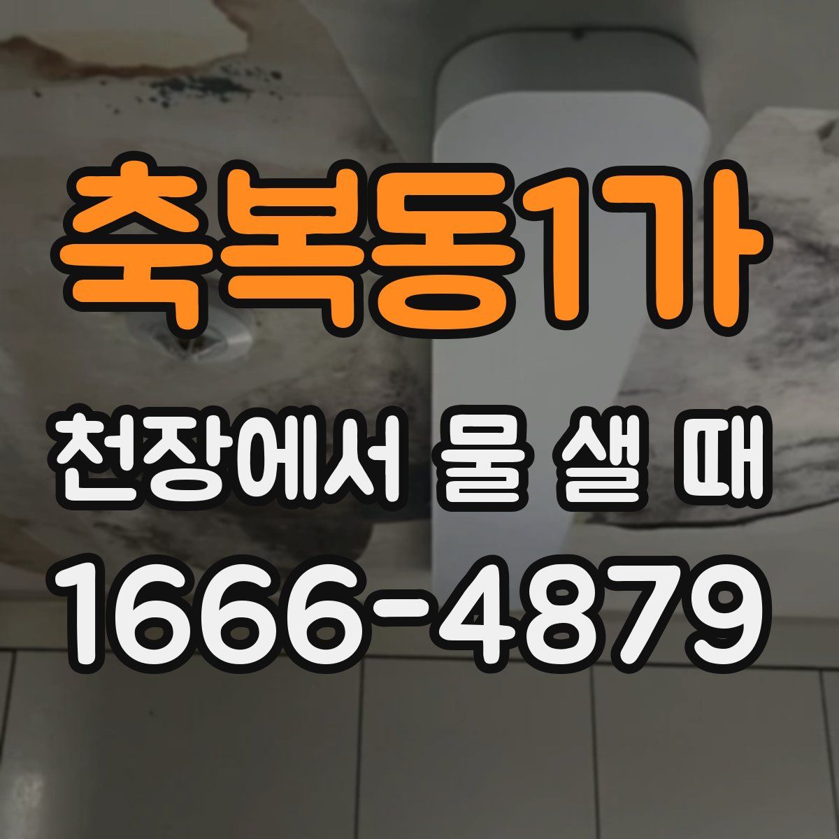 축복동1가 천장에서 물 샐 때
