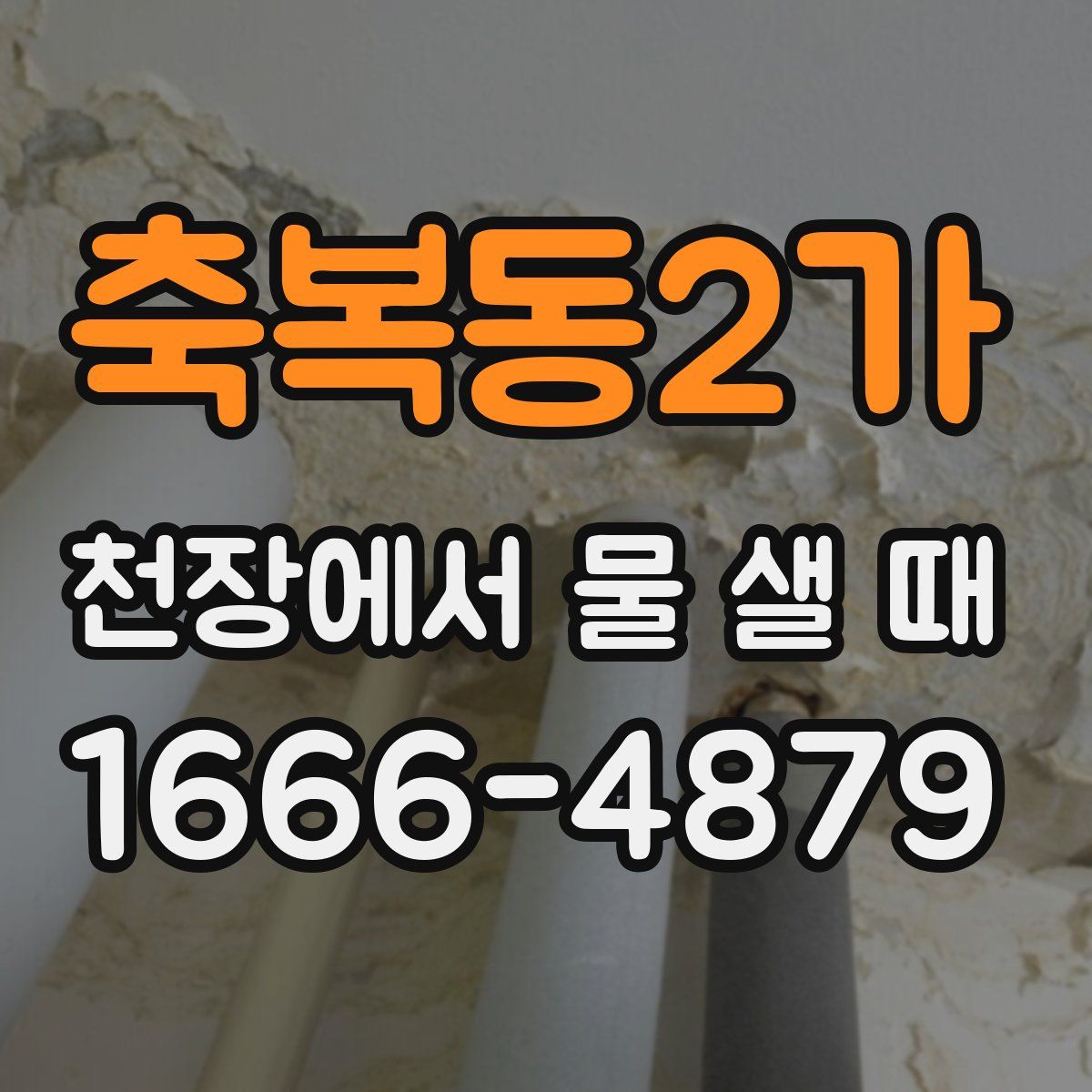 축복동2가 천장에서 물 샐 때