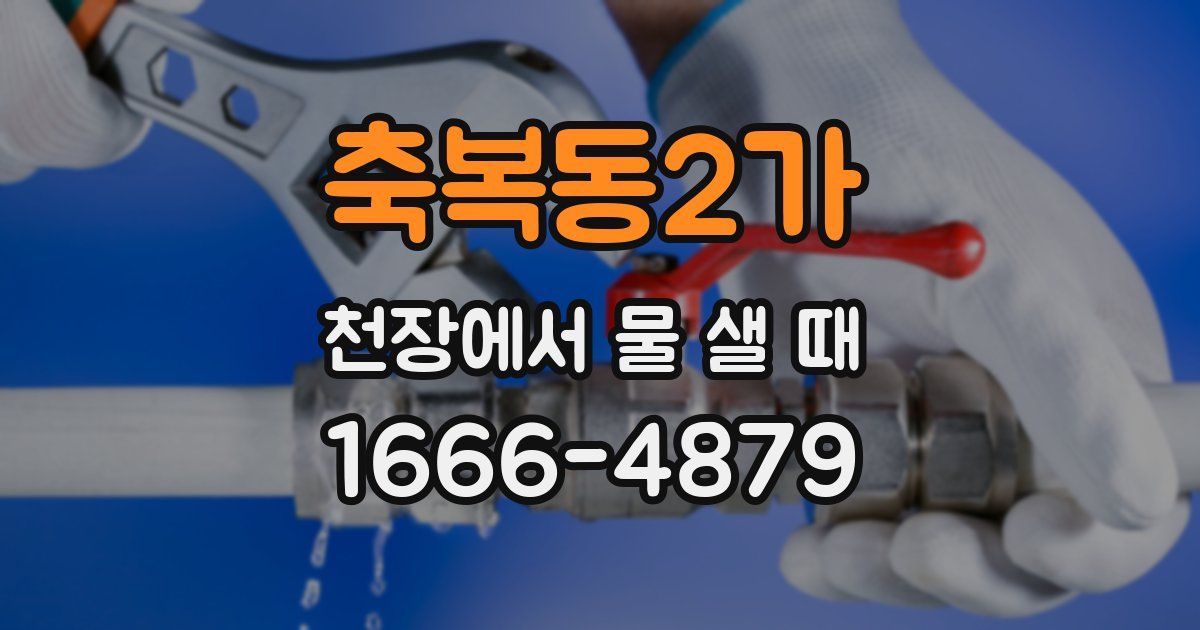 축복동2가 천장에서 물 샐 때