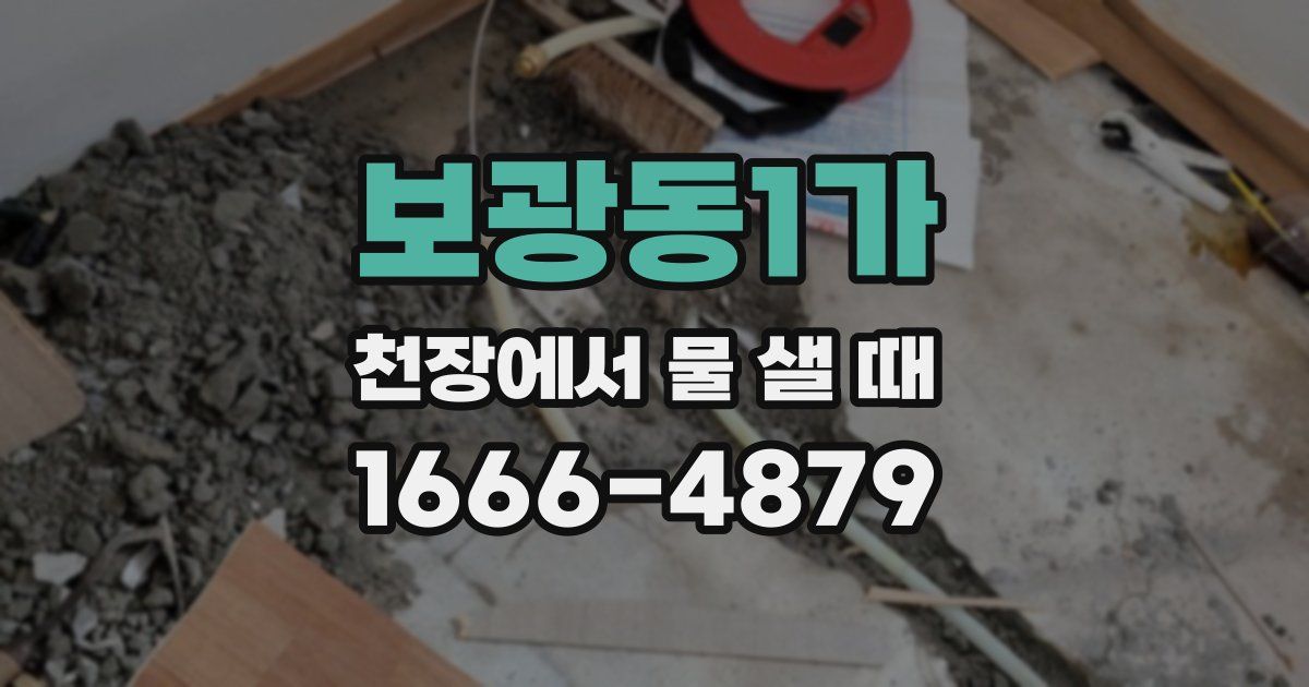 보광동1가 천장에서 물 샐 때
