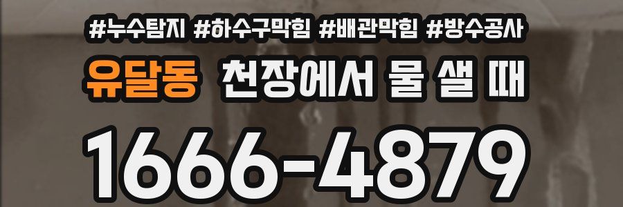 유달동 천장에서 물 샐 때