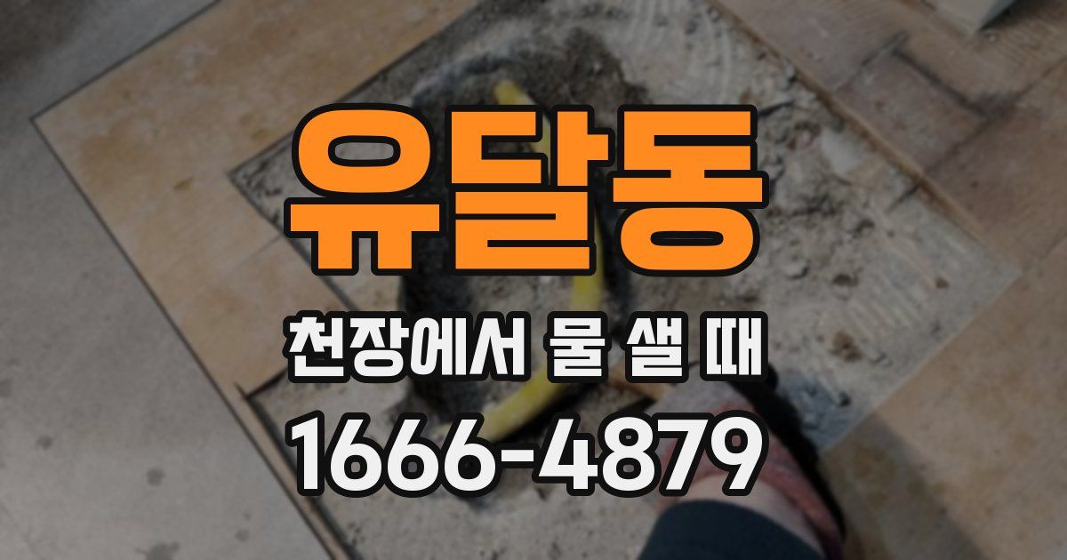 유달동 천장에서 물 샐 때