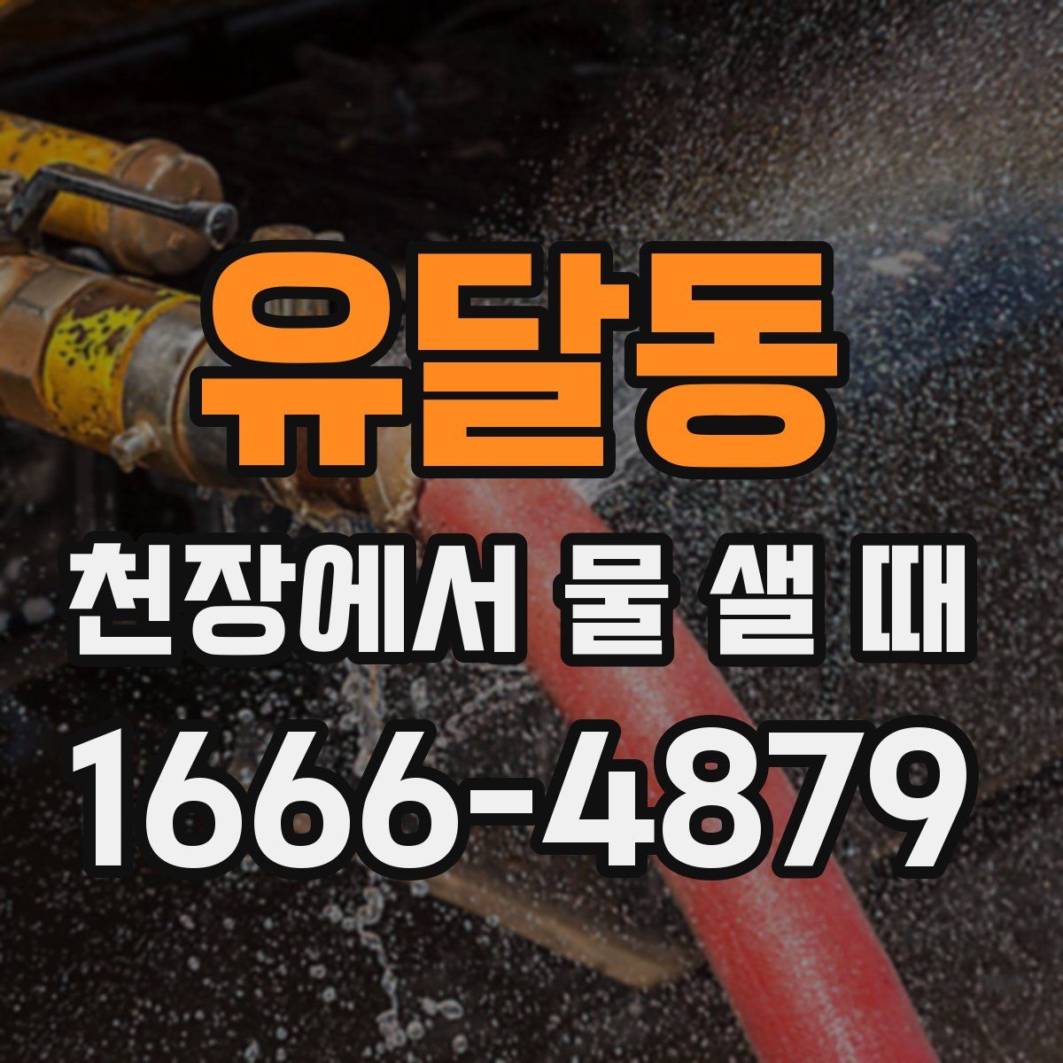 유달동 천장에서 물 샐 때