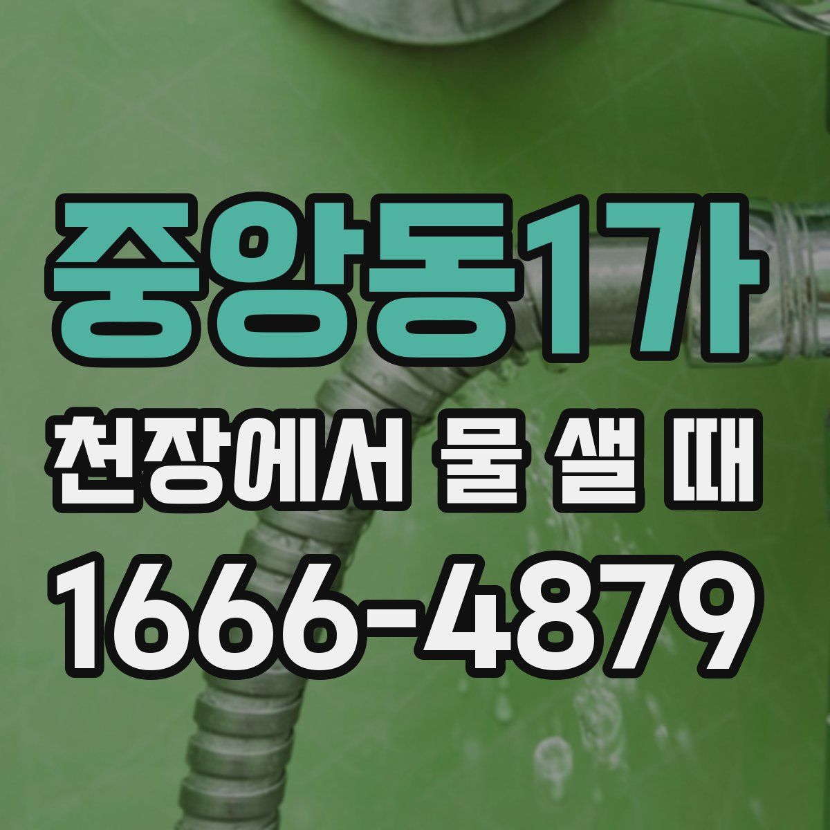 중앙동1가 천장에서 물 샐 때
