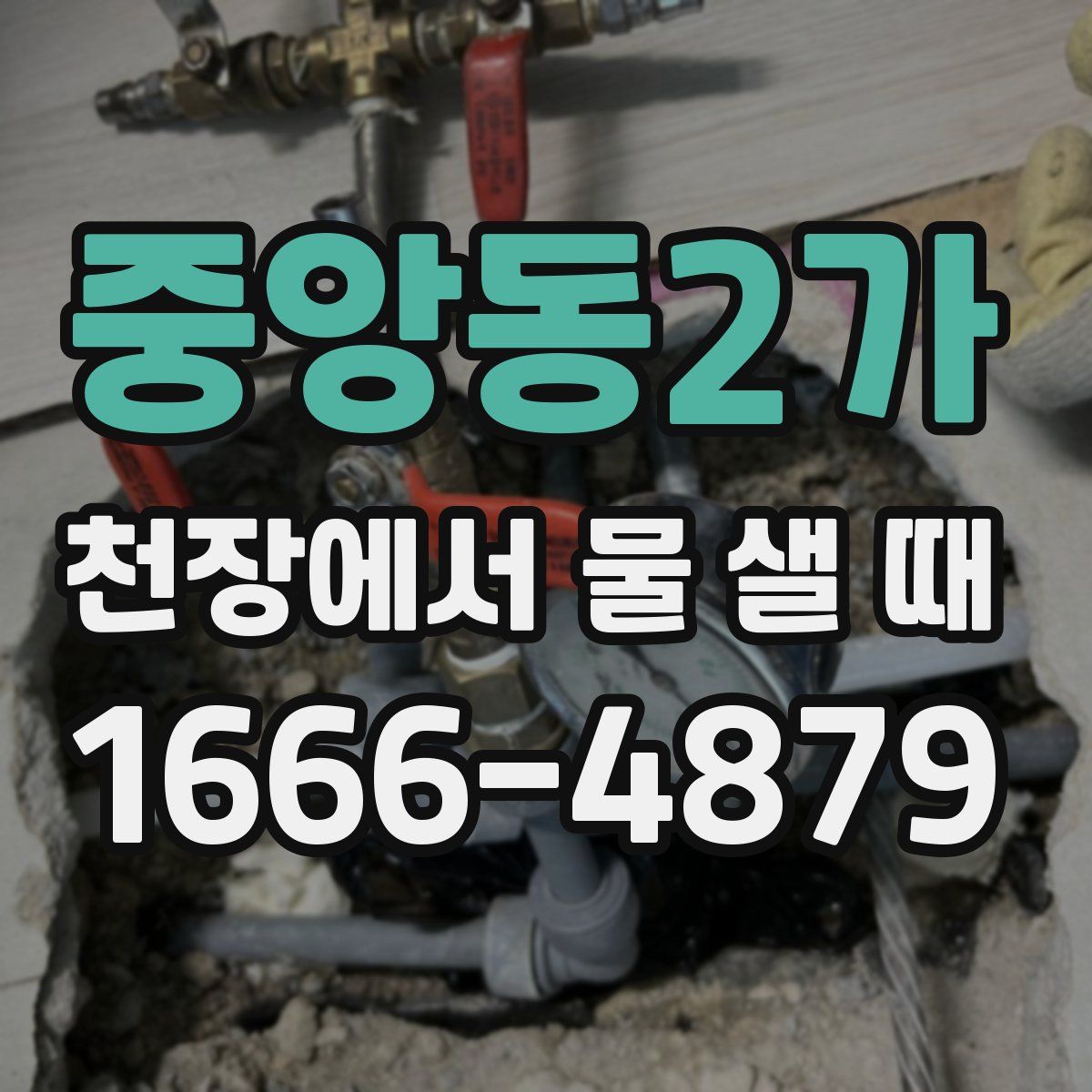 중앙동2가 천장에서 물 샐 때