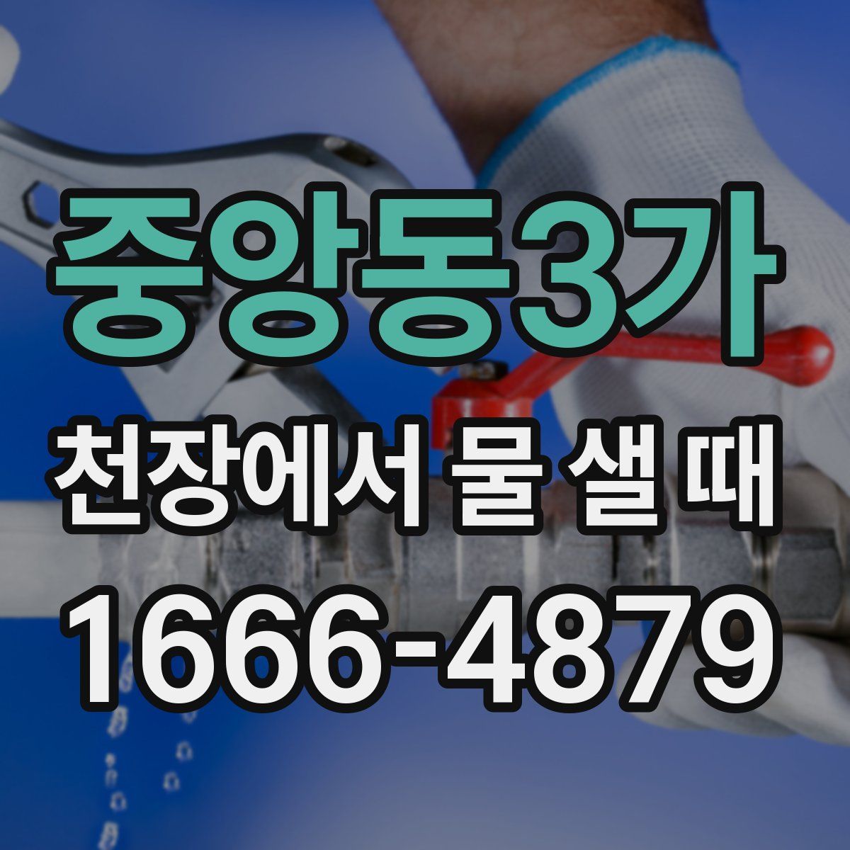 중앙동3가 천장에서 물 샐 때