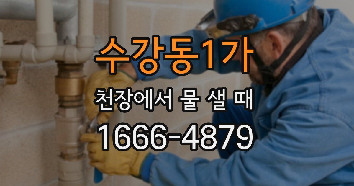 수강동1가 천장에서 물 샐 때