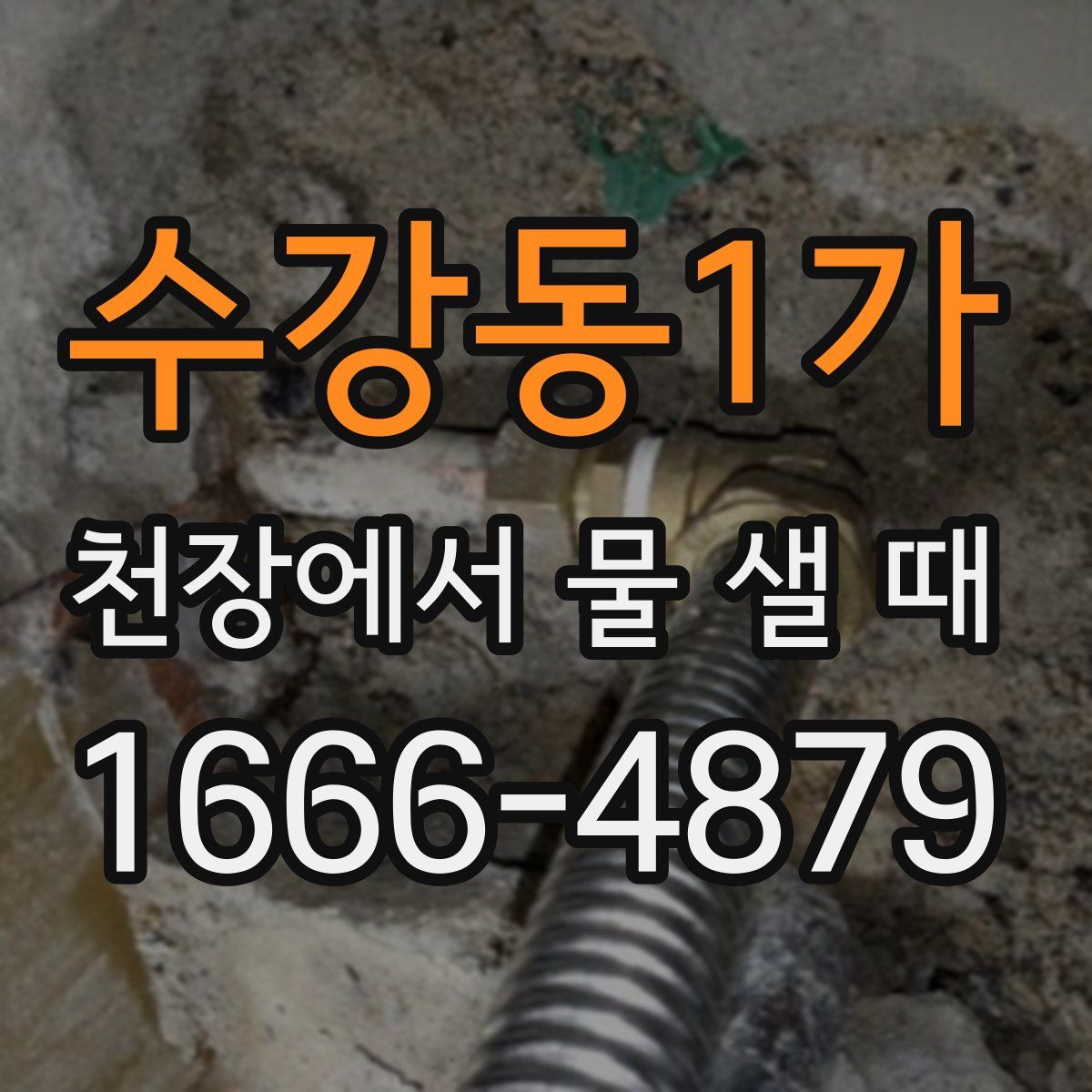 수강동1가 천장에서 물 샐 때