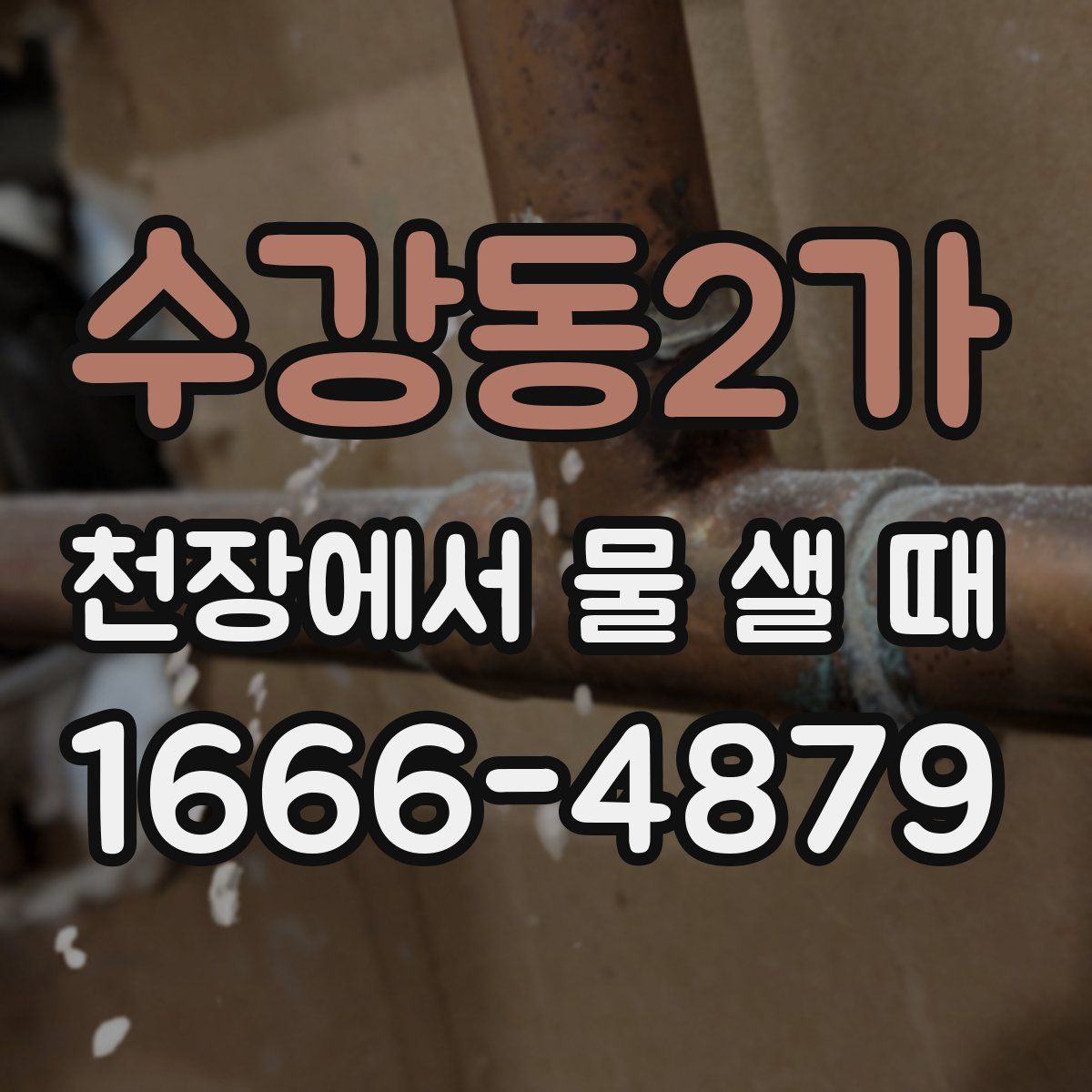 수강동2가 천장에서 물 샐 때