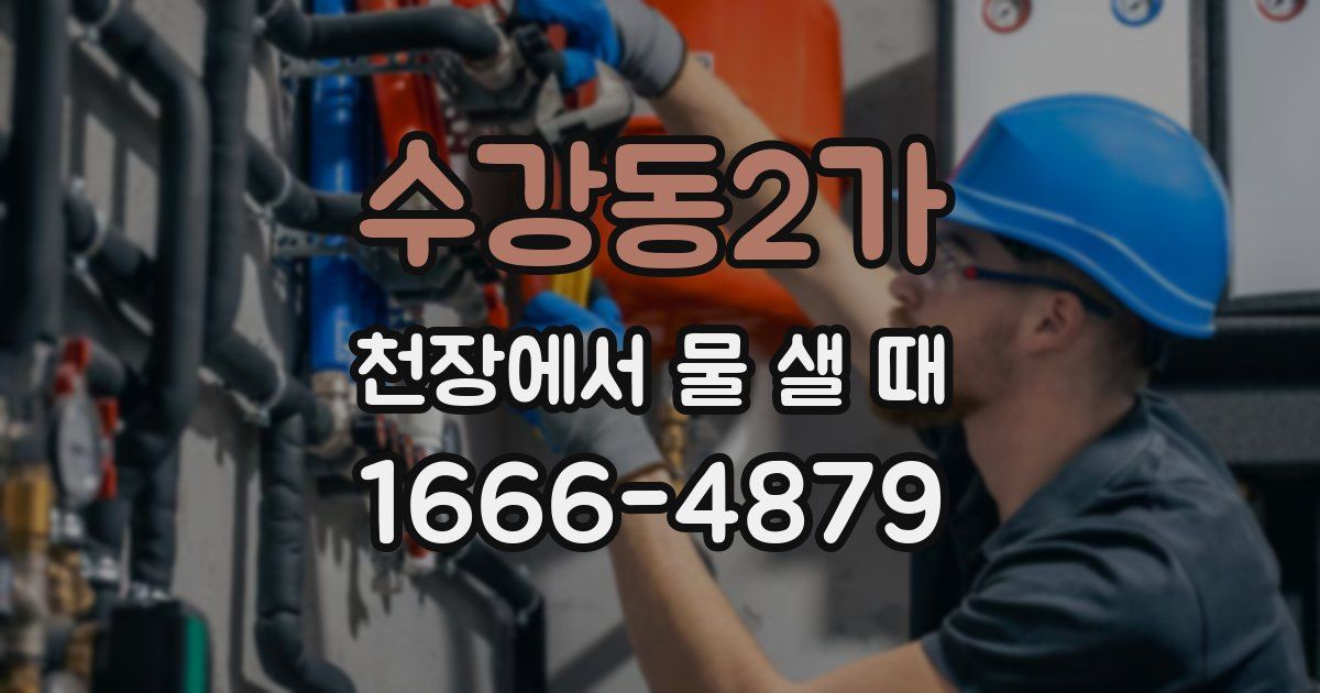 수강동2가 천장에서 물 샐 때