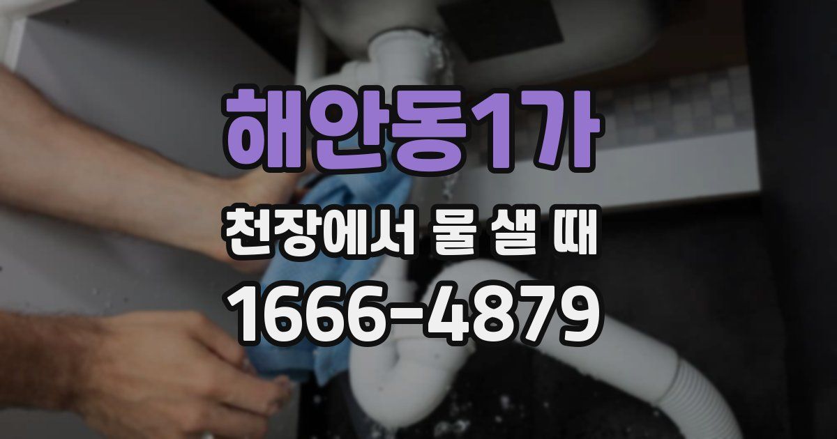 해안동1가 천장에서 물 샐 때