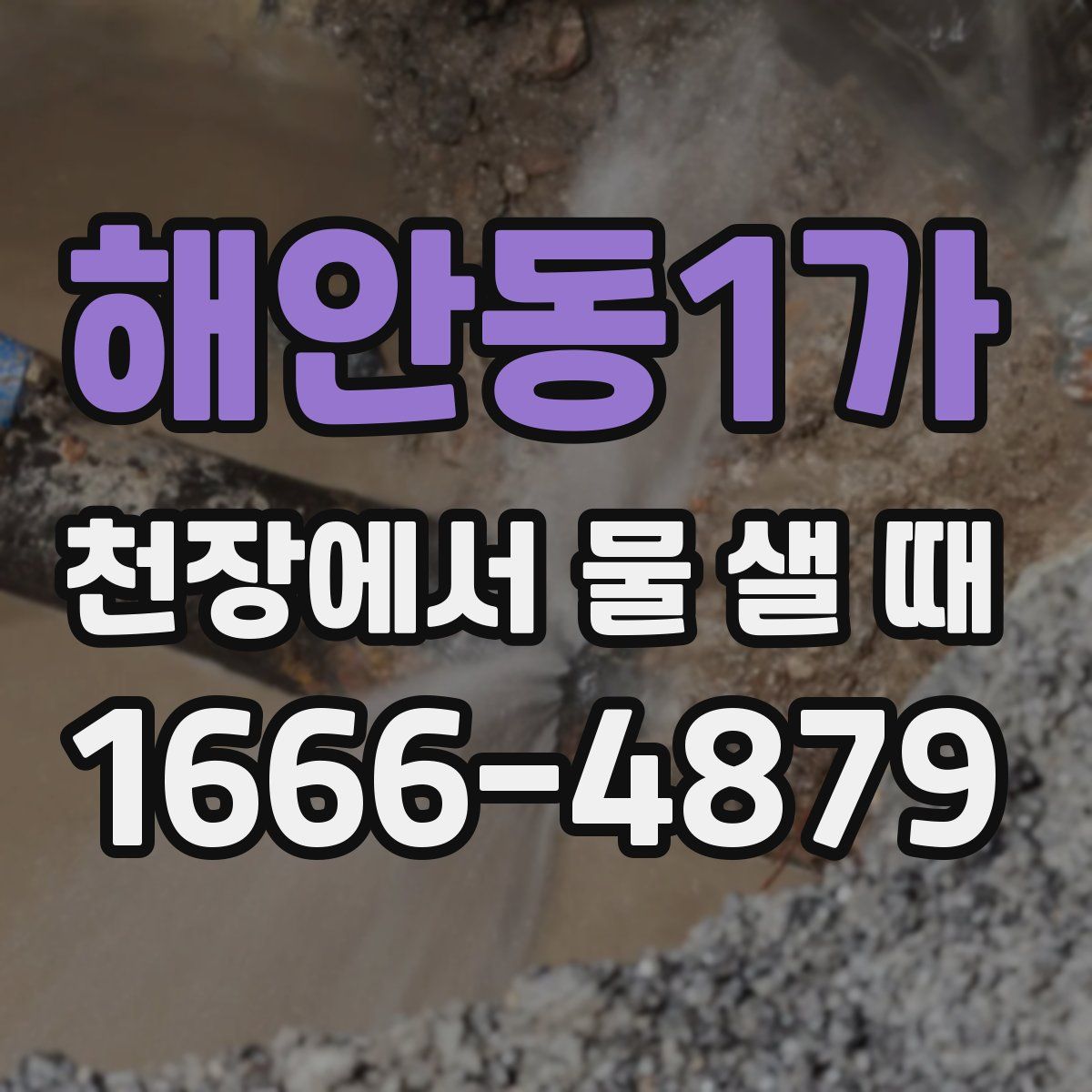해안동1가 천장에서 물 샐 때