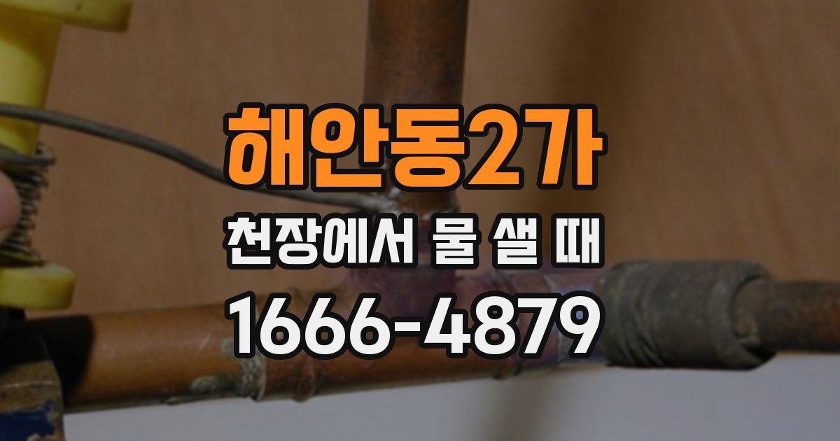 해안동2가 천장에서 물 샐 때
