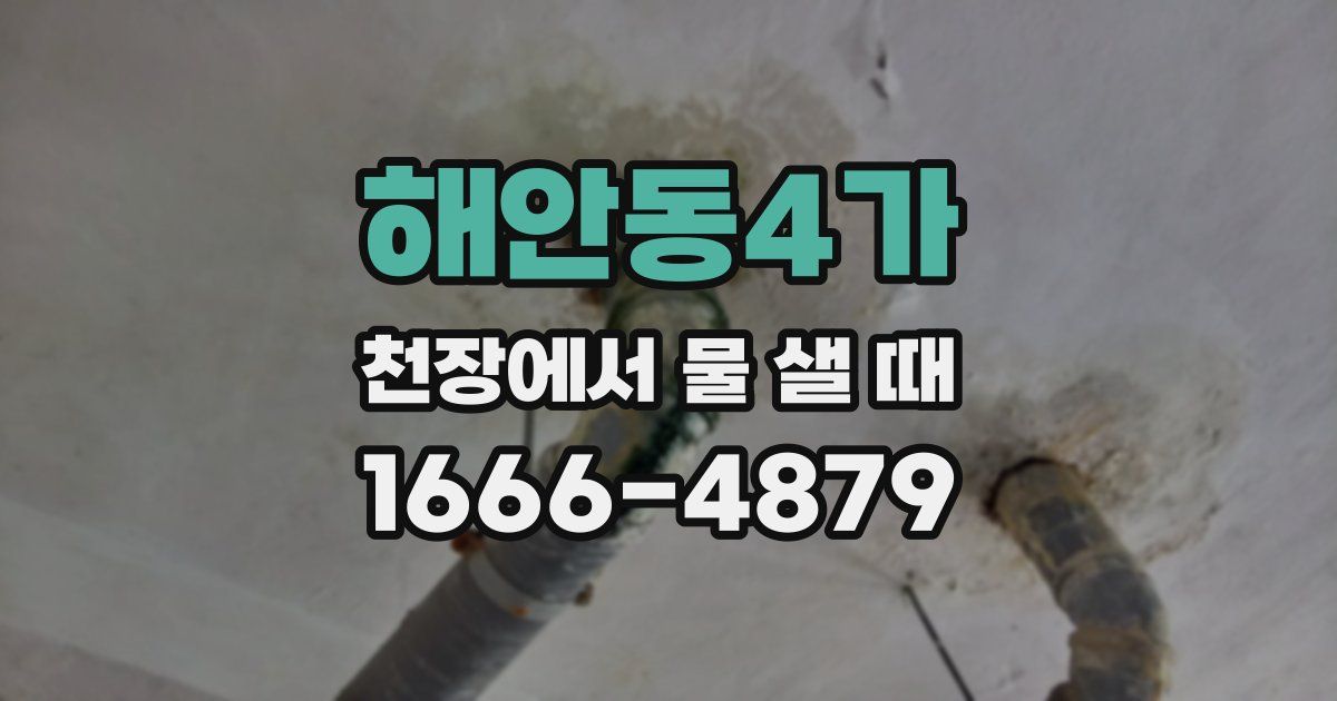 해안동4가 천장에서 물 샐 때
