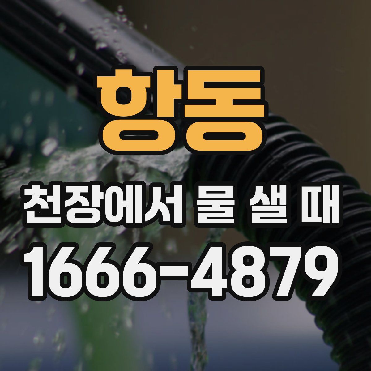 항동 천장에서 물 샐 때
