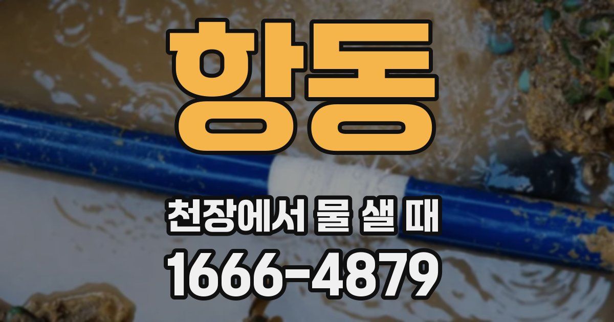 항동 천장에서 물 샐 때