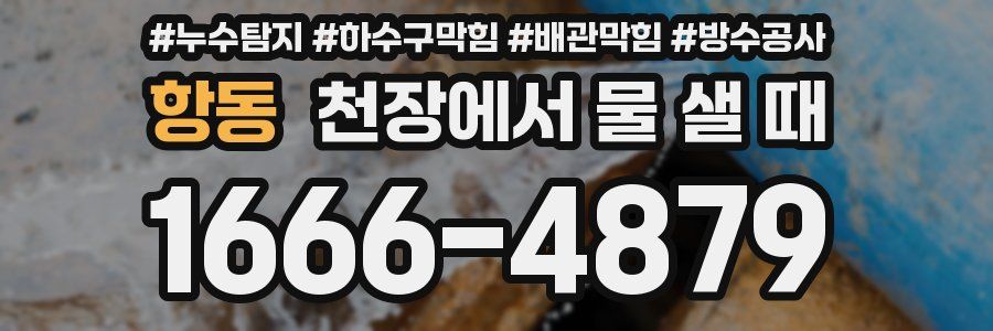 항동 천장에서 물 샐 때