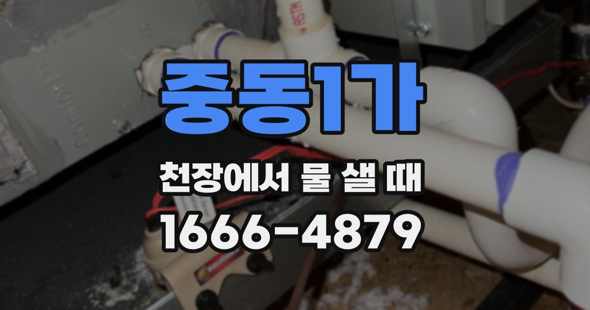 중동1가 천장에서 물 샐 때