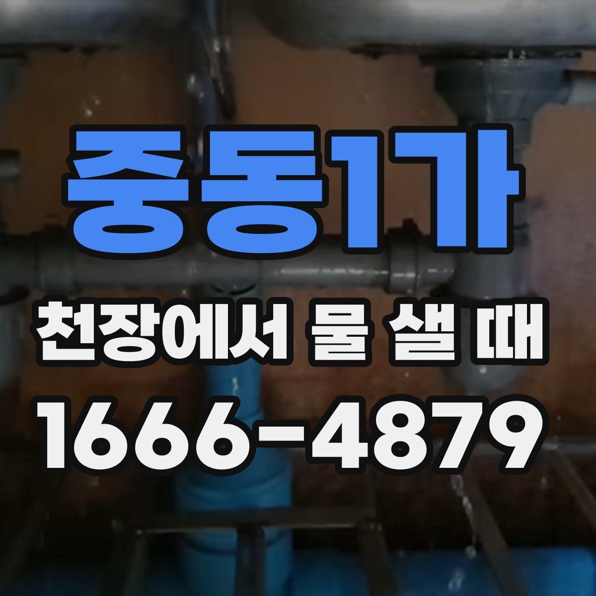 중동1가 천장에서 물 샐 때