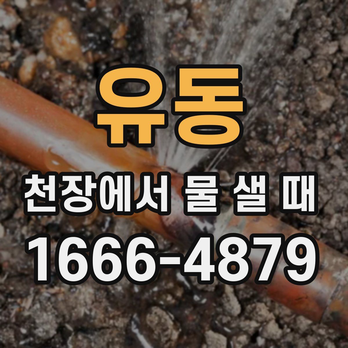 유동 천장에서 물 샐 때