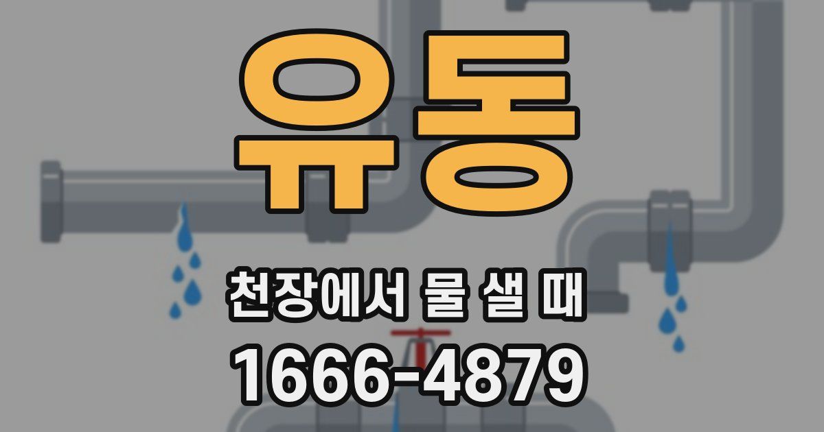 유동 천장에서 물 샐 때