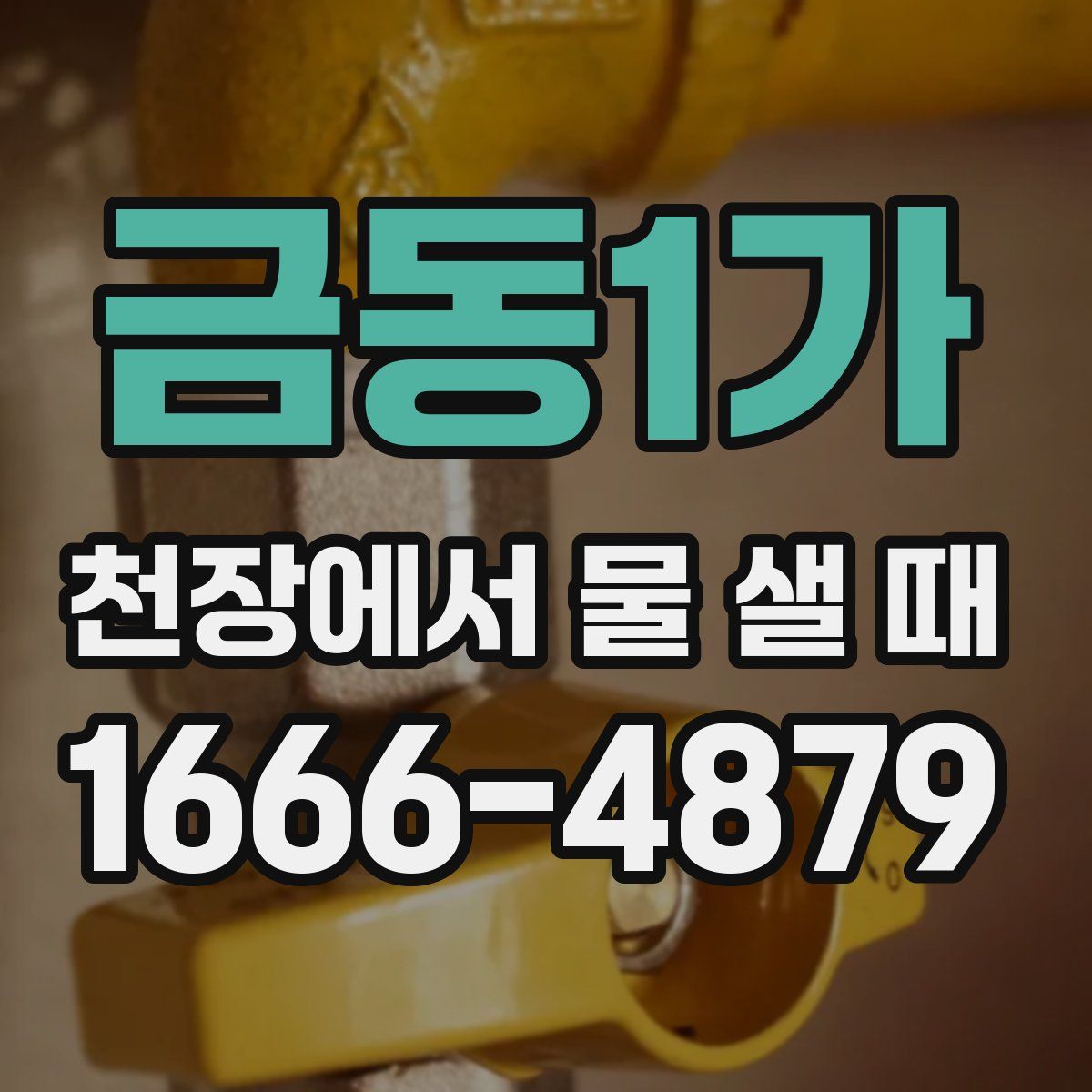 금동1가 천장에서 물 샐 때