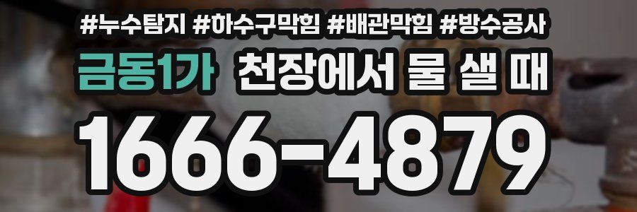 금동1가 천장에서 물 샐 때