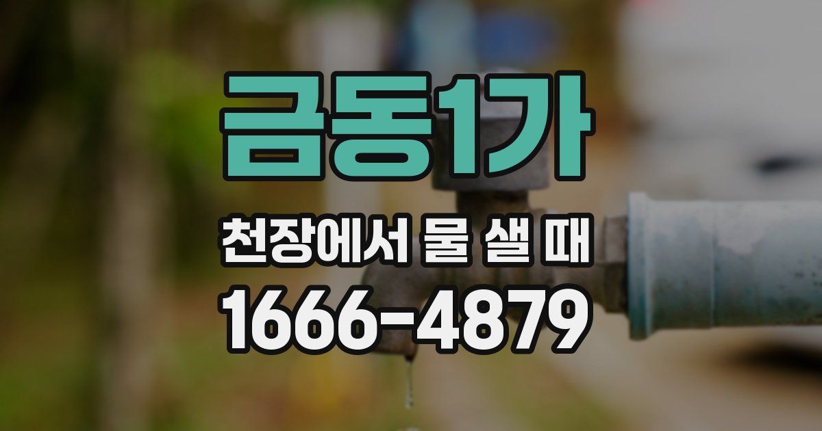 금동1가 천장에서 물 샐 때