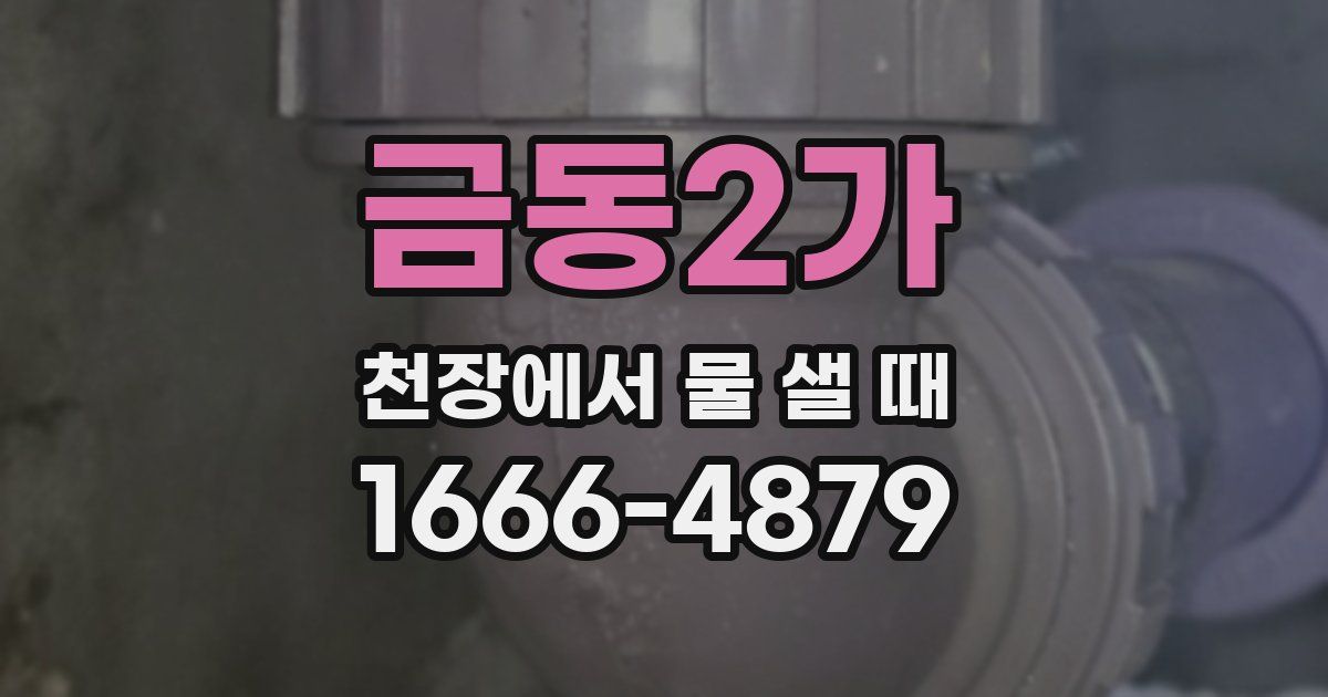 금동2가 천장에서 물 샐 때