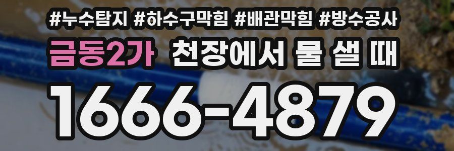 금동2가 천장에서 물 샐 때
