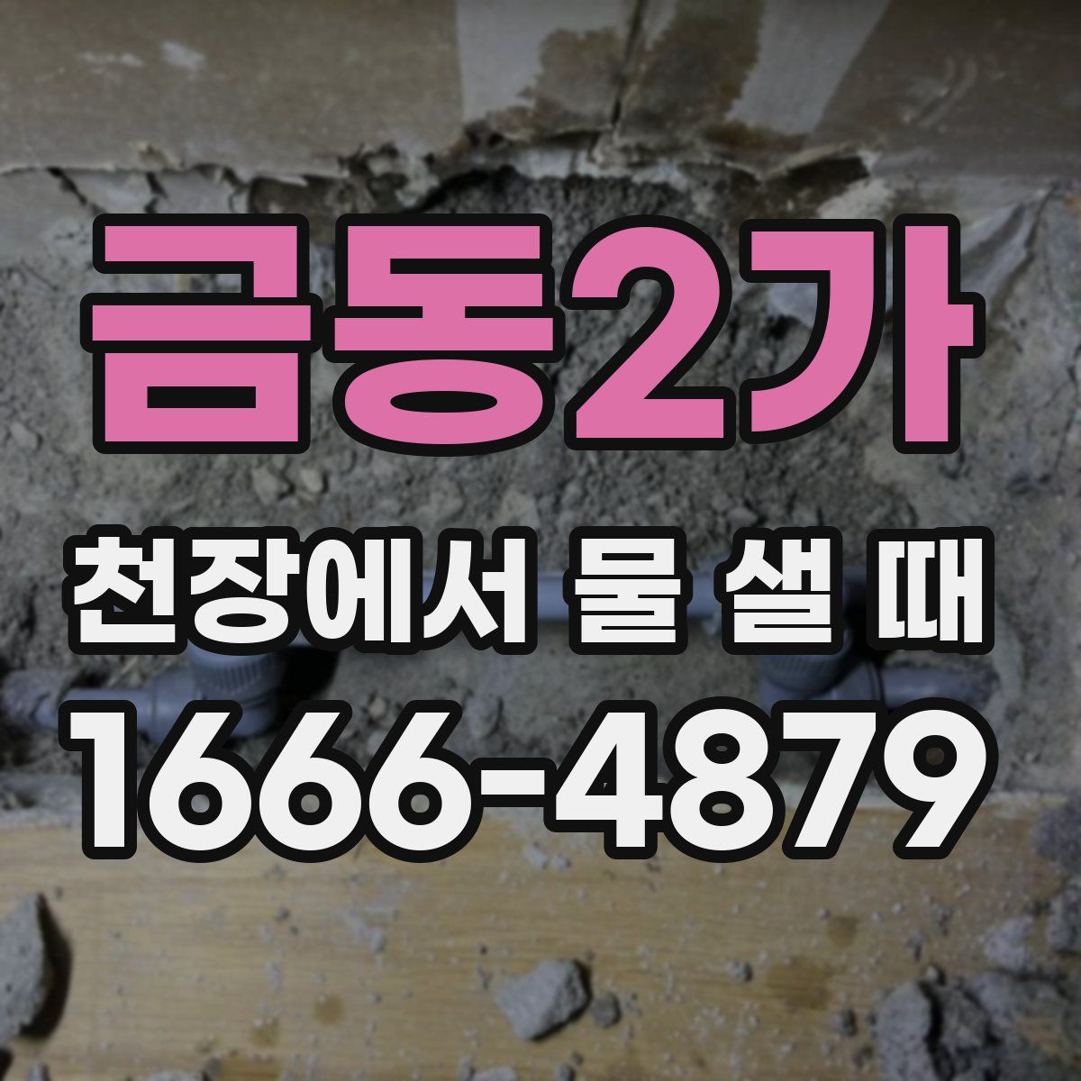 금동2가 천장에서 물 샐 때