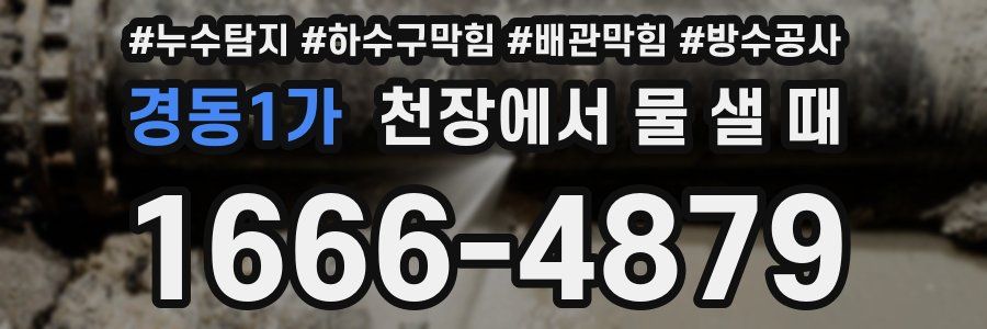 경동1가 천장에서 물 샐 때